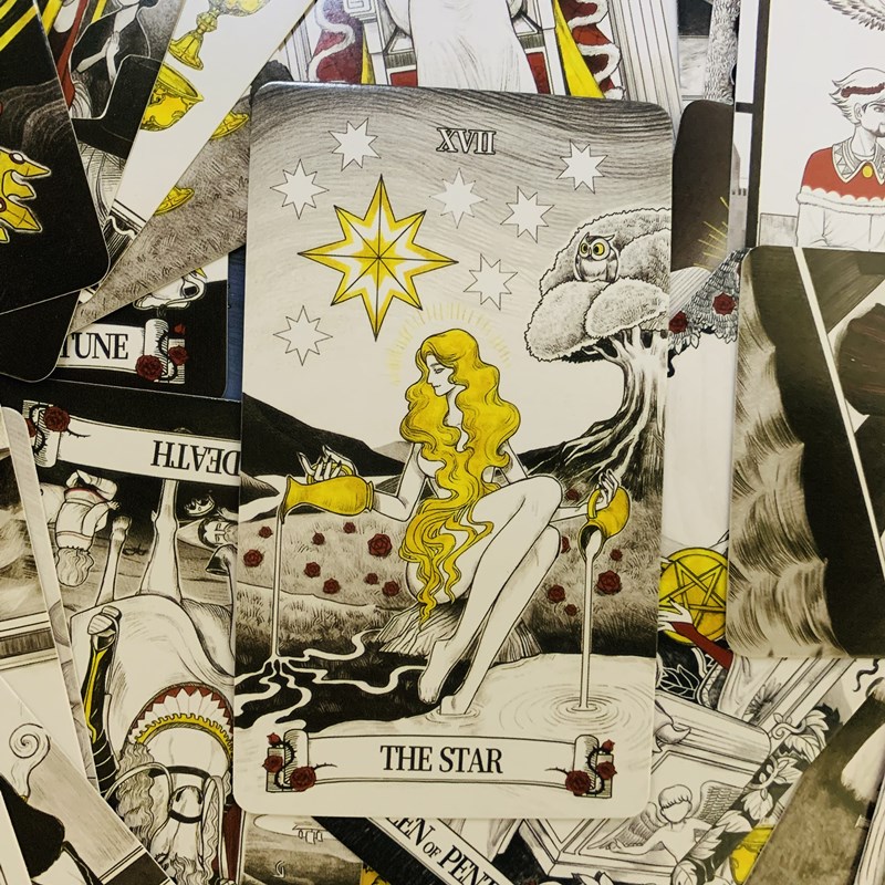 Secret Mirror Tarot cards 80 d - Board Game Of Life review and price